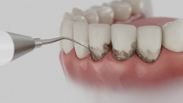 Reliable Dental contractor in Drum Point, MD by Dentist Open Now